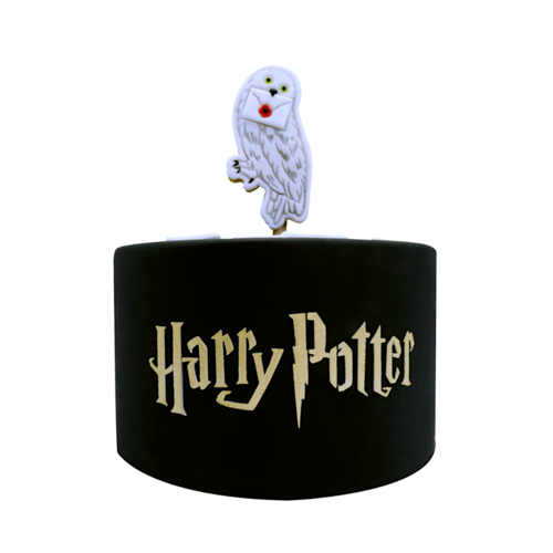 PLANTILLA PARA TARTA PME - "HARRY POTTER"