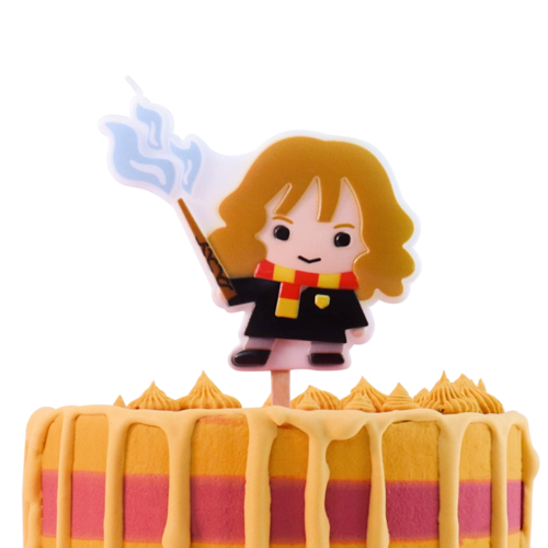 VELA CUMPLEAOS PME - HERMIONE GRANGER "HARRY POTTER"