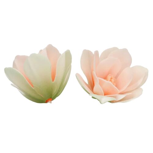 FLORES DE PAPEL COMESTIBLE FUNCAKES - MAGNOLIA BLANCA GRANDE