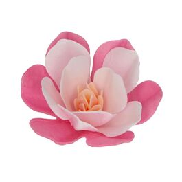 FLORES DE PAPEL COMESTIBLE FUNCAKES - MAGNOLIA ROSA GRANDE